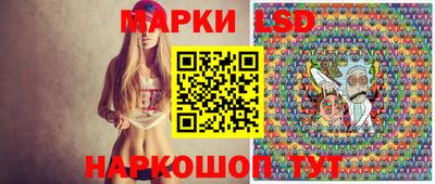 гашик Новозыбков