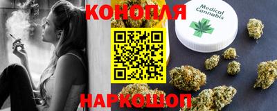 гашик Новозыбков