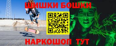 гашик Новозыбков