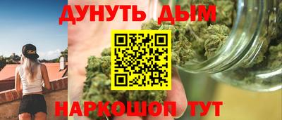 гашик Новозыбков