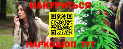 гашик Новозыбков