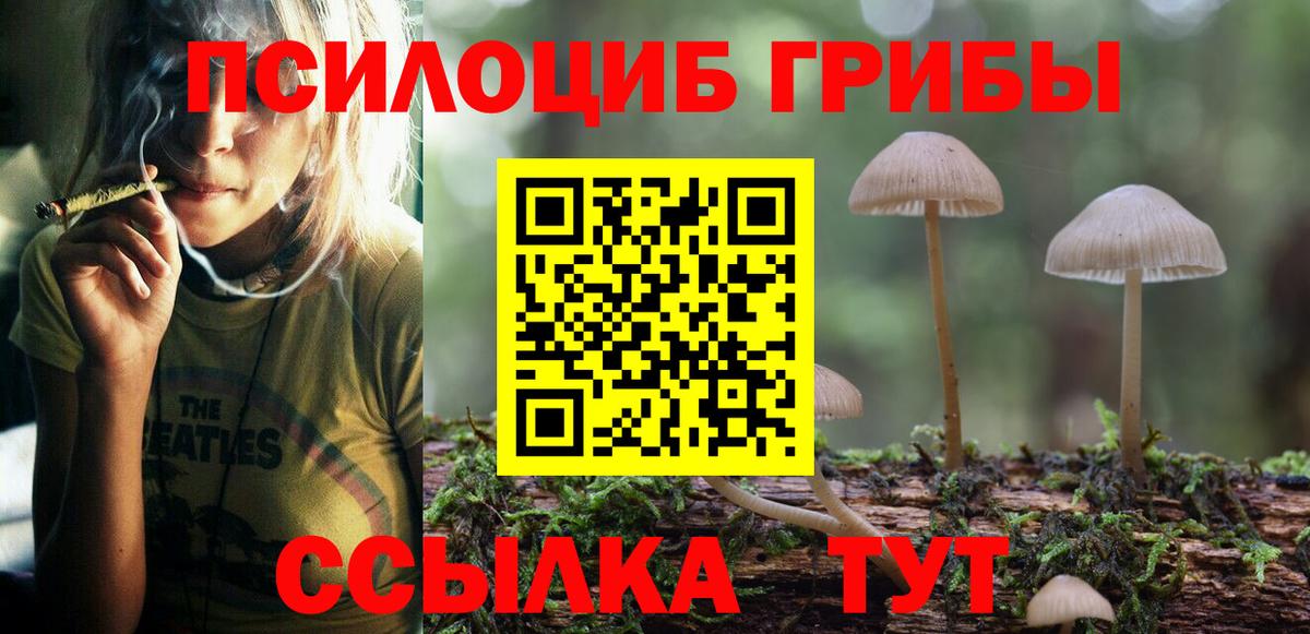 Галлюциногенные грибы Psilocybine cubensis Рассказово