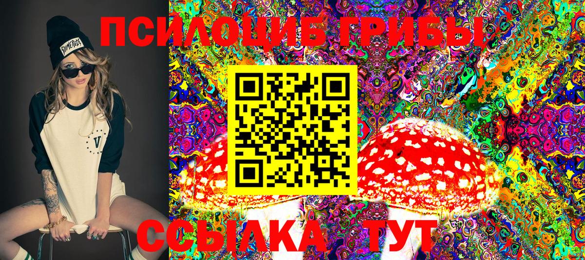 Псилоцибиновые грибы мухоморы  Псилоцибиновые грибы Cubensis  Рассказово  Вход с VPN 
